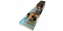 Cort CAP10OP Trailblazer Acoustic Guitar Pack