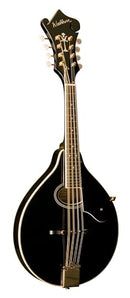 Washburn M1SD Americana Series A-Style Mandolin. Black