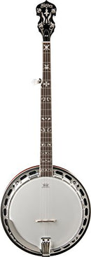 Washburn B16 Americana Series (5 String Banjo). Tobacco Sunburst