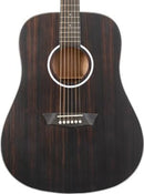 Washburn DFED Deep Forest Dreadnought Acoustic Guitar, Striped Ebony