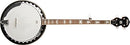 Washburn B10 Americana Series (5 String) Banjo