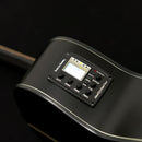 Washburn DFED Deep Forest Dreadnought Acoustic Guitar, Striped Ebony