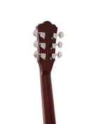 Washburn DFBDA Deep Forest Burl Dreadnought Acoustic Guitar. Amber Fade