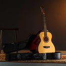 Washburn AF5K-A F5 Apprentice Series Folk Acoustic Guitar