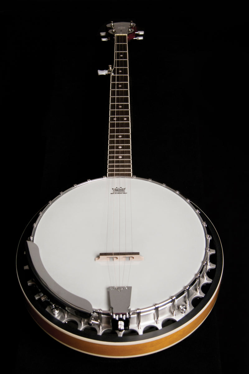 Washburn B9 Americana Series (5 String) Banjo. Sunburst