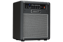 Hiwatt Bulldog 30 Combo - BT 30W Bass Combo