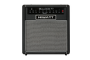 Hiwatt Bulldog 77 Combo - 100W Bass Combo