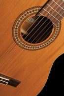 Jasmine JC27CE-NAT Nylon String Acoustic Electric Classical Guitar. Natural Finish