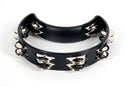 Rhythm Tech RT1010 Standard Tambourine. Black with Double Row Nickel Jingles